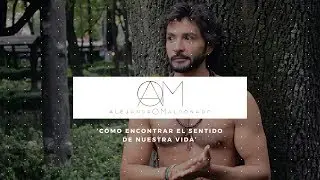 Cómo encontrar el sentido de nuestra vida ⚠️ – Alejandro Maldonado