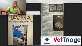 Evaluating traumatic brain injury in dogs and assessing prognosis based on MRI findings