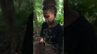 Jungle Kids Make Bamboo Popguns 🌿🔫 #png #rabaul