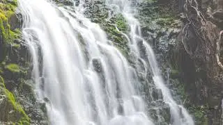 Halls Lake Brook Falls