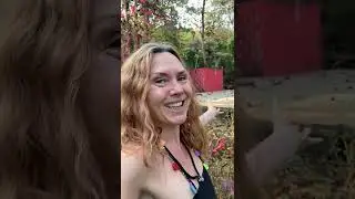 Looking for an authentic place to do YTT or Ayurveda in Goa?  Day 13 - a month in an ashram