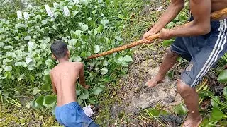 Miracle Technique to Catch Fish | Abundant Fishing under Water Hyacinth