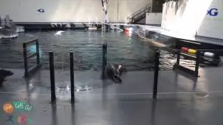Behind the Scenes Tour at Georgia Aquarium