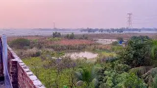 Natural view around my home #naturelovers #green 