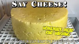 Mead Washed Rind  - CDN Caerphilly Cheese Make