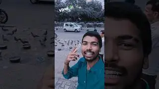 kareja ho hum na chiraiya 🦜 #bhojpurihit #golugoldentertainment #golugold #bhojpurisong2024 #song