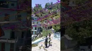 Gadwali Marriage Preparation #uttarakhand #pahadi #gadwali #vlog