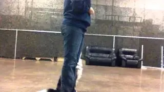 Silent Training with your Dog