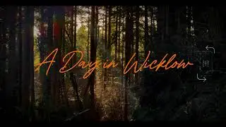 A Day in Wicklow | Ireland | International Student