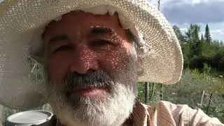 Camp garden beds update