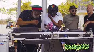 Queens Reggae On The Boardwalk | African Violet Roots