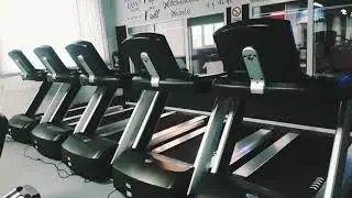 TEAM WILD WARHOUSE GYM