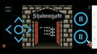 Shadowgate (NES)- Full Playthrough (OLD)