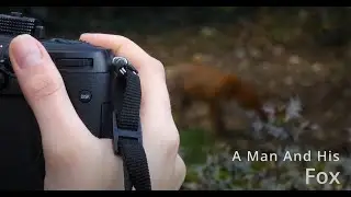 WILD! Mentorship; Magda Kozlecka with her first short film - A Man And His Fox