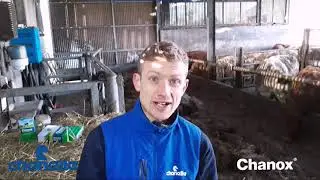 Understanding Coccidiosis - #sixtysecondsolutions