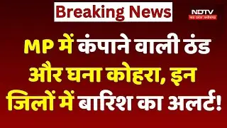 MP Weather News: कंपाने वाली ठंड और घना कोहरा, इन जिलों में बारिश का अलर्ट! Cold Wave | Top News