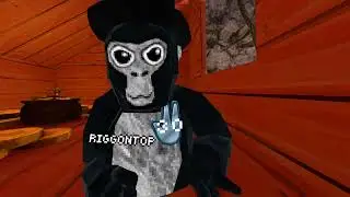 Hello Gorilla Tag Community