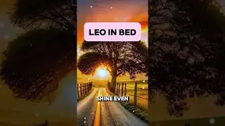 Leo in bed