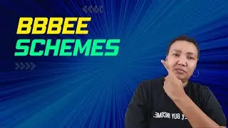 BBBEE Scheme Basics - Explain It Like I am Five