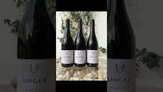 Explore Three Stellar Red Wines| Weingut Petra Unger| #VinoVistara #wines #wine #winelover #kremstal