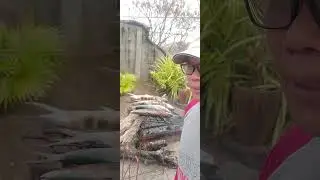 РЫБНЫЙ БАРБЕКЮ S