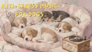 Anti Stress Music for Dogs🐶Music Help Your Dogs Sleep After 30minutes🐶