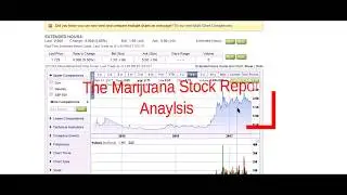 CANADIAN EDITIONS !!! AURORA Cannabis -ACBFF The Marijuana Stock Report Analysis