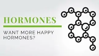 Want More Happy Hormones?