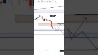 NIFTY50 TRAP AND REVERSE
