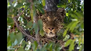 Natuer Guide and Enrichment courses Mix