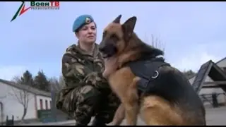 Арсенал 12.03.2017