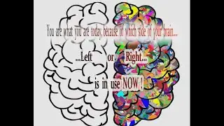 Why the right side of the brain makes you more money. A demonstration.