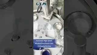 Automatic High Speed Nicotine Snus Pouch Cans Packaging Machine