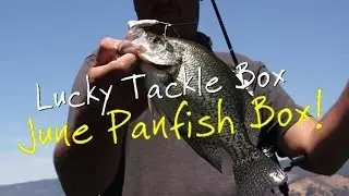 Panfish box June overview, Lucky Tackle Box!
