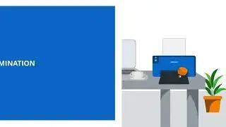Mastering the online examination