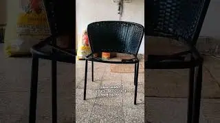 Outdoor Wicker Chair#shorts #outdoorfurniture #wickerfurniture #furniture #art #interior#viralshorts