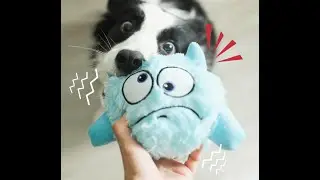 Brinquedo Pet interativo Monster Jumping