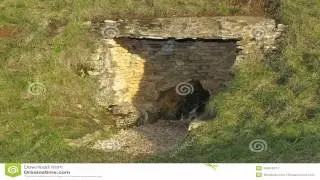Belas Knap Long Barrow Cheltenham Gloucestershire