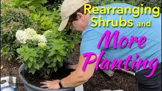Moving Shrubs and More Planting!!!!! 🌸🌺🌼