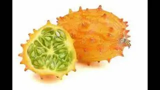 hornedmelon.mp3