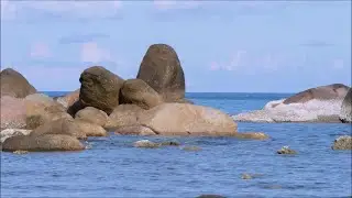 JAN 15 Day 4 of 8 Days of Global Love & Gratitude Water Meditation & LIVE Consciousness Experiment