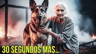 Perro valiente salva una granja del incendio y rescata a una granjera anciana &mdash; Un verdadero h&eacute;roe