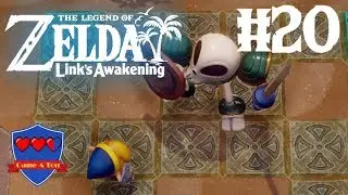 Link's Awakening - Master Stalfos - #20
