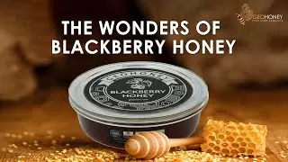 The Wonders Of Black Berry Honey | Geohoney
