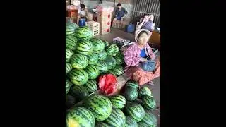 #myanmar #yangon #พม่า #เที่ยวพม่า เที่ยวเมืองย่างกุ้ง ใครก็ไปได้ ใครก็ทำได้ #shorts 1371