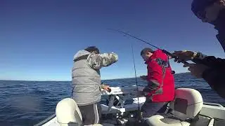 Catching Snapper from Dawn to Dusk | ESCAPE FISHING WITH ET