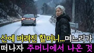 산에 버려진 할머니, 며느리가 떠나자 주머니에서 나온 것ㅣ노후사연ㅣ감동사연ㅣ라디오사연ㅣ오디오북