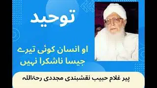 Lec 4.2 - Tauheed I توحید I Hazrat Peer Ghulam Habib Naqshbandi Mujadidi R.A.