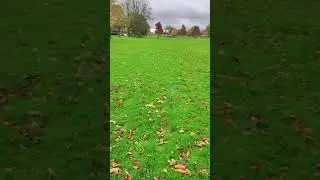Basford Park, UK#unitedkingdom #basford #greatbritain