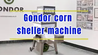 🌽 Fresh Sweet Corn Sheller Machine | Efficient & Precise Corn Processing #foodprocessingmachinery